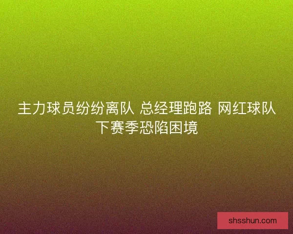 主力球员纷纷离队 总经理跑路 网红球队下赛季恐陷困境