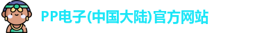 PP电子